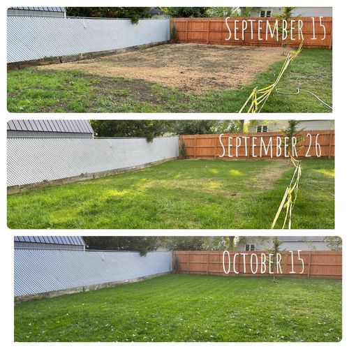 Customer photo review of GCI Turf Cool Blue Grass Seed