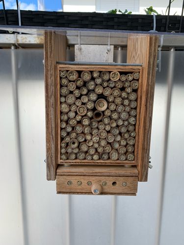 Customer photo review of BeeExplorer