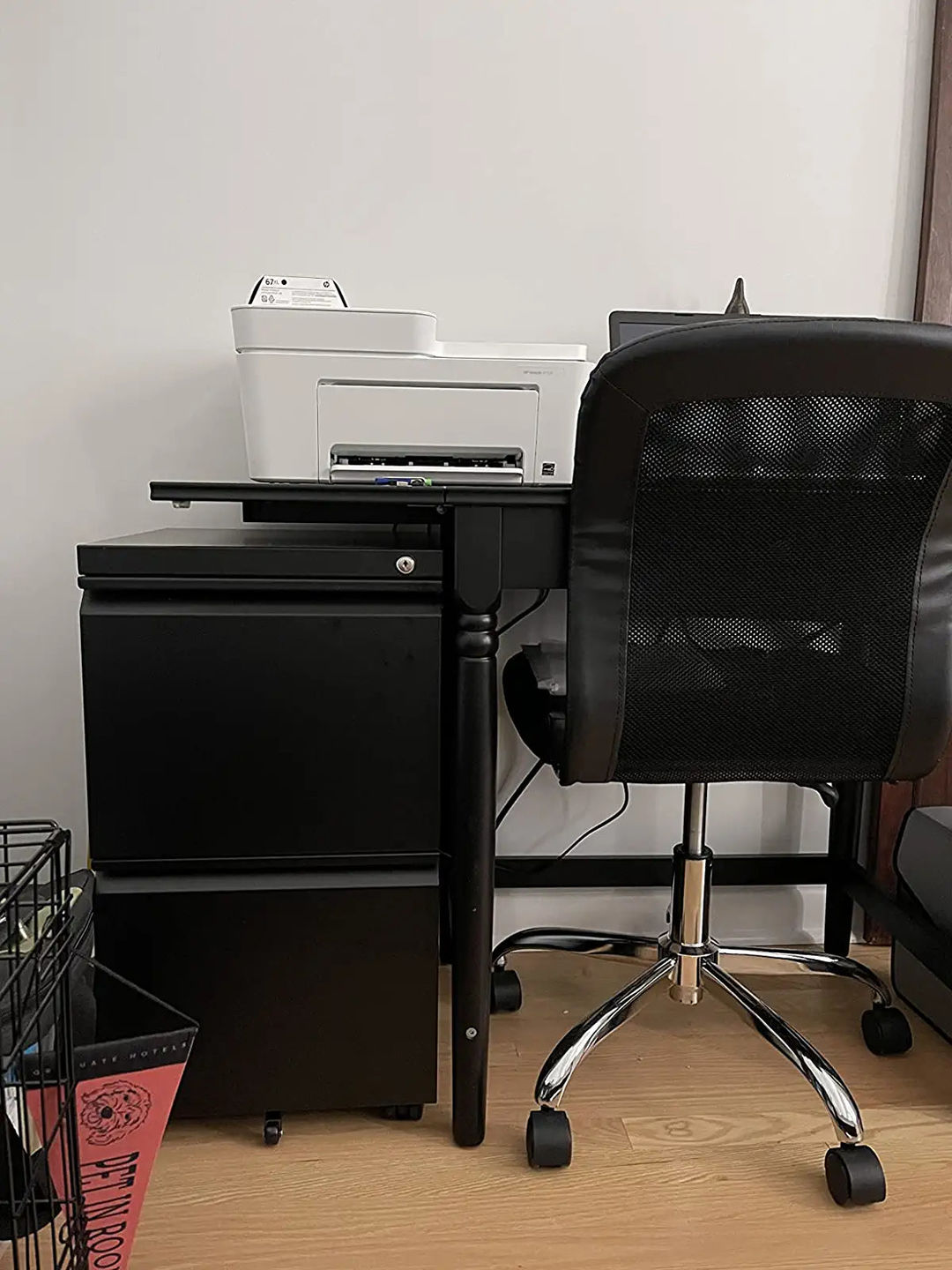 Customer photo review of Metal 2-Drawer Mobile File Cabinet with Recessed Handles and Lock | DEVAISE