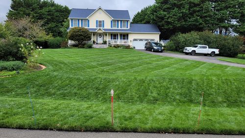Customer photo review of Cool Season Lawn Care Guide and Cool Season Renovation Guide Combo