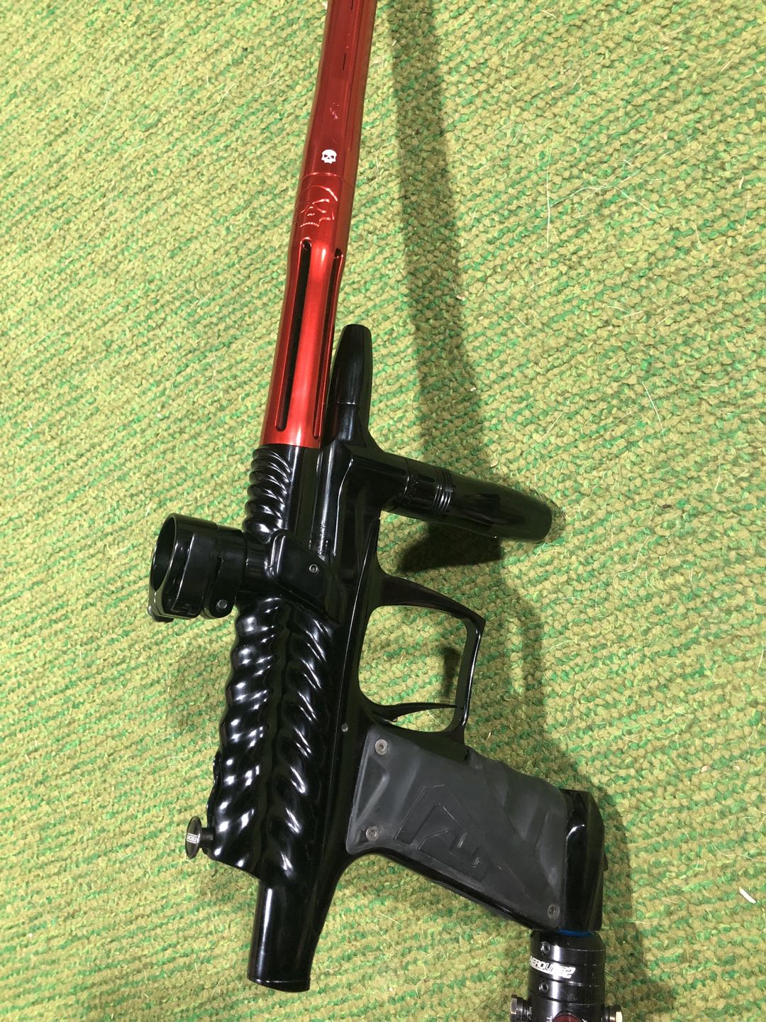 Customer photo review of Silencio FXL Back - Cocker Thread