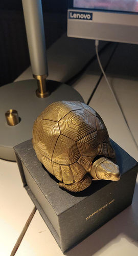 Customer photo review of Bronze Tortoise Box