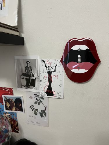 Customer photo review of Mouthy Light Switch Cover