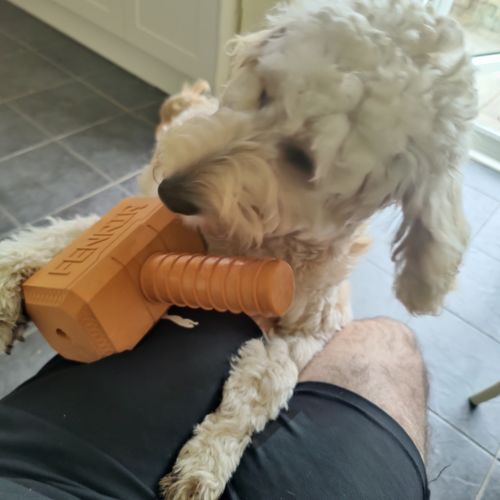 Customer photo review of The Fenrir Hammer