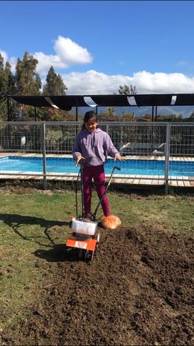 Customer photo review of Motocultivador van Beek 3vB430
