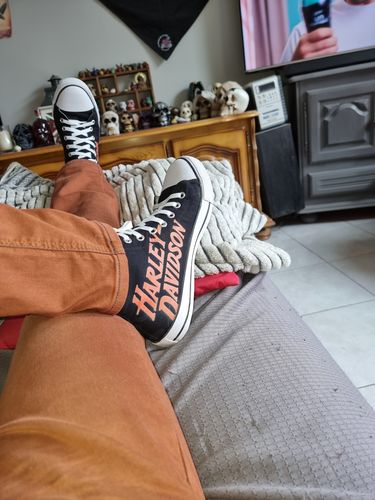 Customer photo review of BASKET HARLEYD