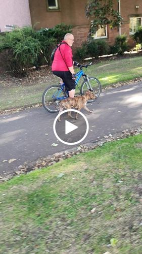 Customer video review of Ragnar Training Leash