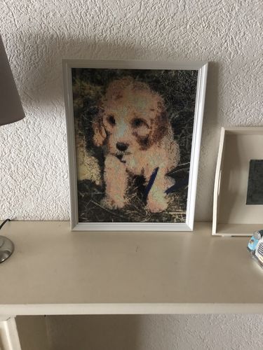 Customer photo review of Eigen Foto Diamond Painting