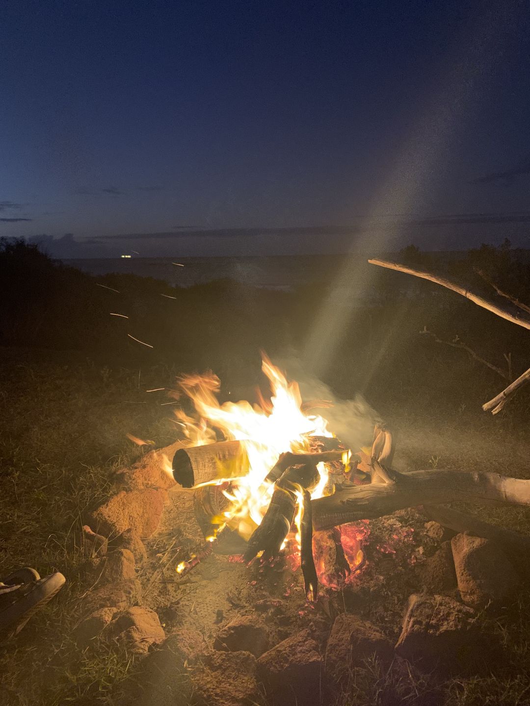 Customer photo review of Ultralight Titanium Grill