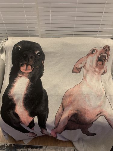 Customer photo review of Custom Pet Full Body Knitted Blankets