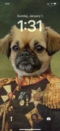 Customer photo review of The General - Custom Vintage Pet Portrait