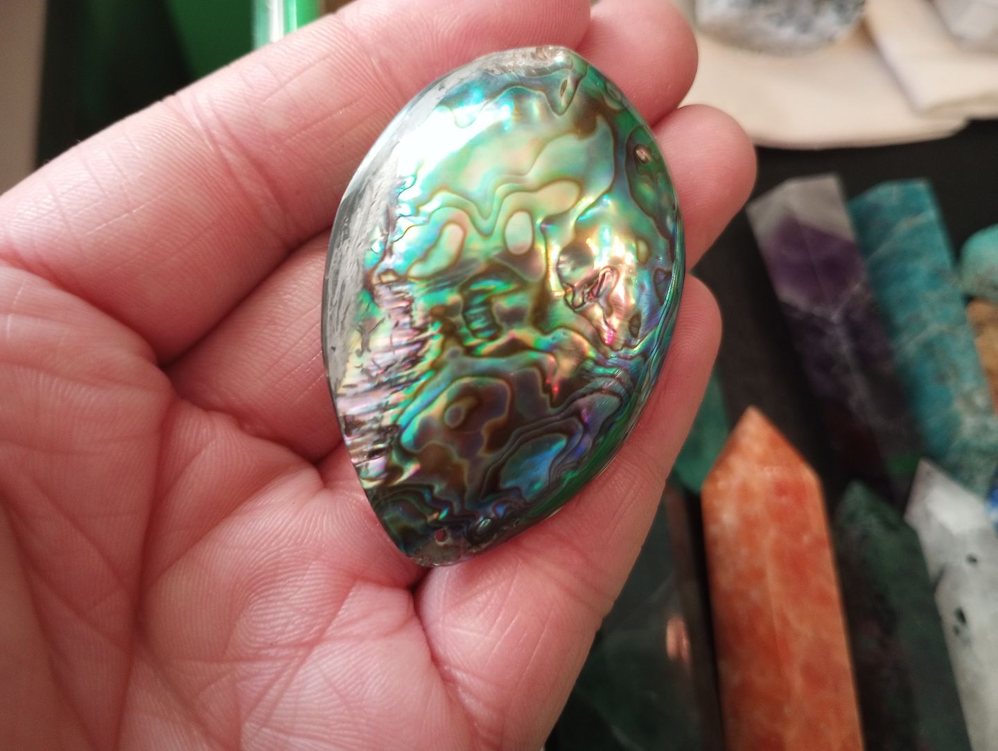 Customer photo review of Ocean Abalone Shell
