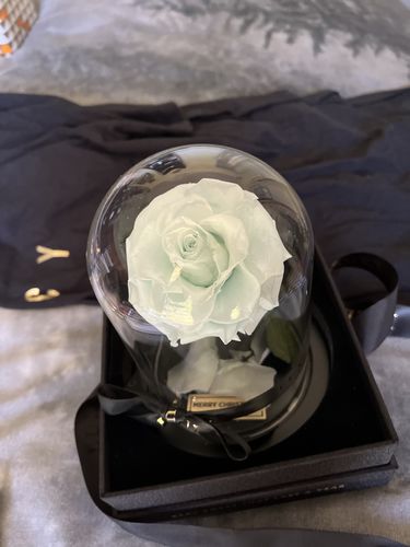 Customer photo review of Mini Everlasting Rose - Baby Blue