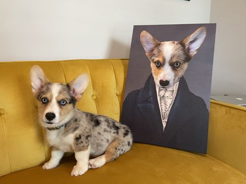 Customer photo review of The Aristocrat - Custom Pet Canvas