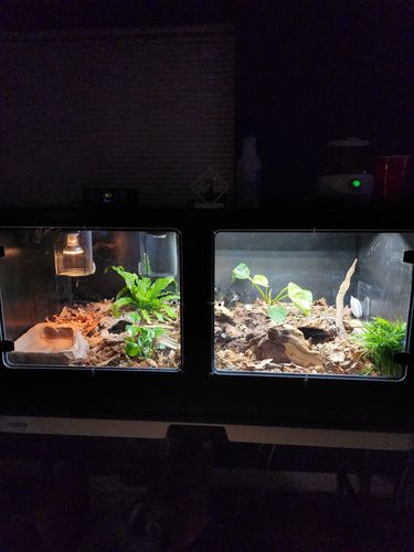 Customer photo review of XT4 BIO (48Lx24Dx24H) - STACKABLE