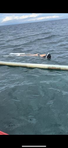 Customer photo review of Luna Long Sleeve Swimwear