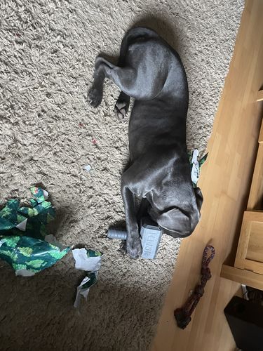 Customer photo review of The Fenrir Hammer