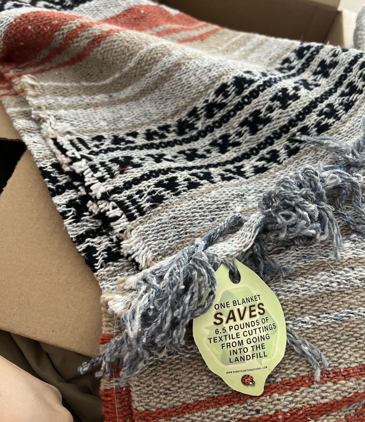 Customer photo review of Striped Falsa Blanket