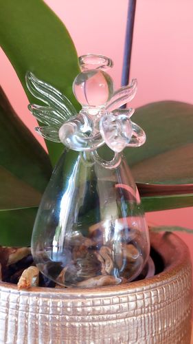 Customer photo review of Mon petit ange gardien