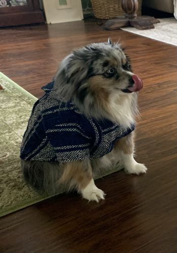 Customer photo review of Playa Poncho - Surprise Color