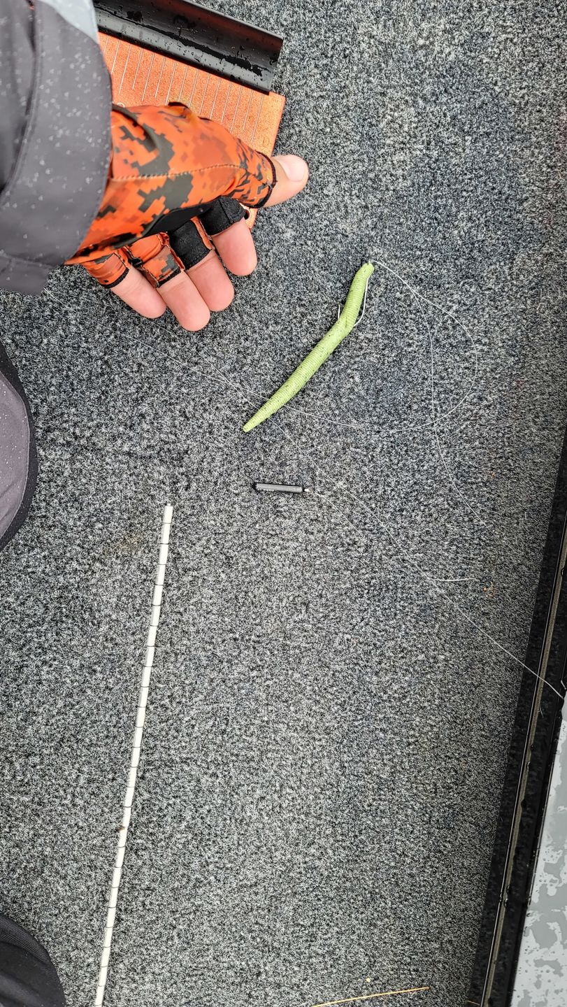 Customer photo review of 97% Density Tungsten Skinny Drop Shot Weights | Bulk Pack | Cylinder Drop Shot Weights