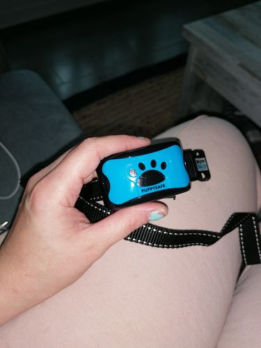 Customer photo review of Collier Anti Aboiement PuppySafe™SANS CHOC électrique et SANS DOULEUR