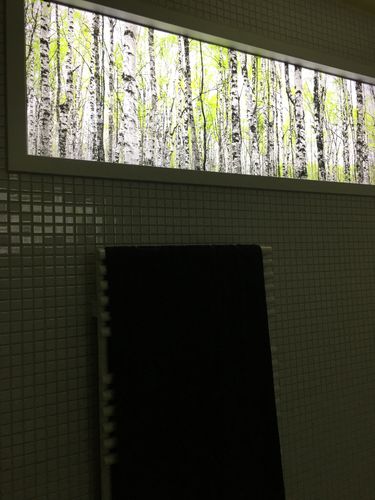 Customer photo review of Leuchtbild | Birkenwald | Panorama