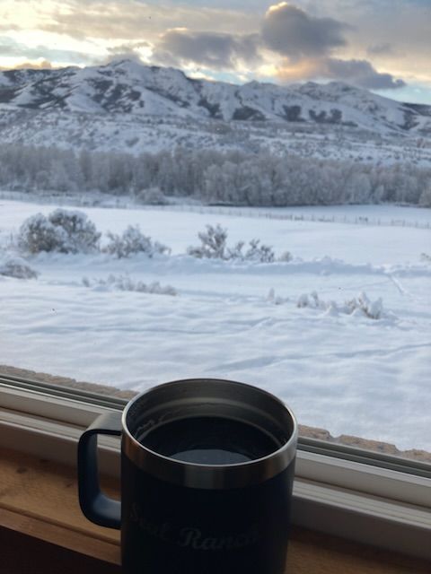 Customer photo review of Backcountry Blend