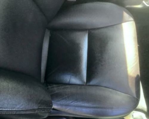 Customer photo review of Clyde's 4-Step Recoloring Kit