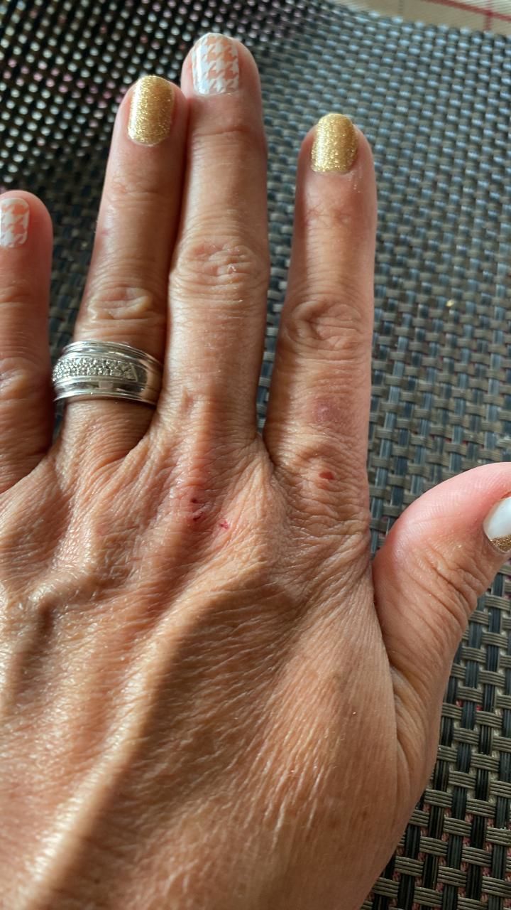 Customer photo review of Elegant Shiny