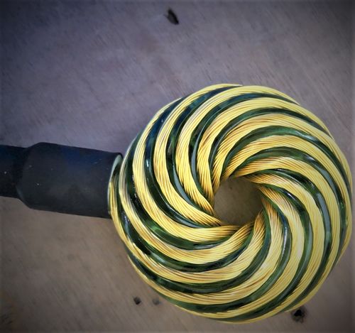 Customer photo review of Qi Coil™ 3S Parasite Detox Transformation System with Resonant Console 2