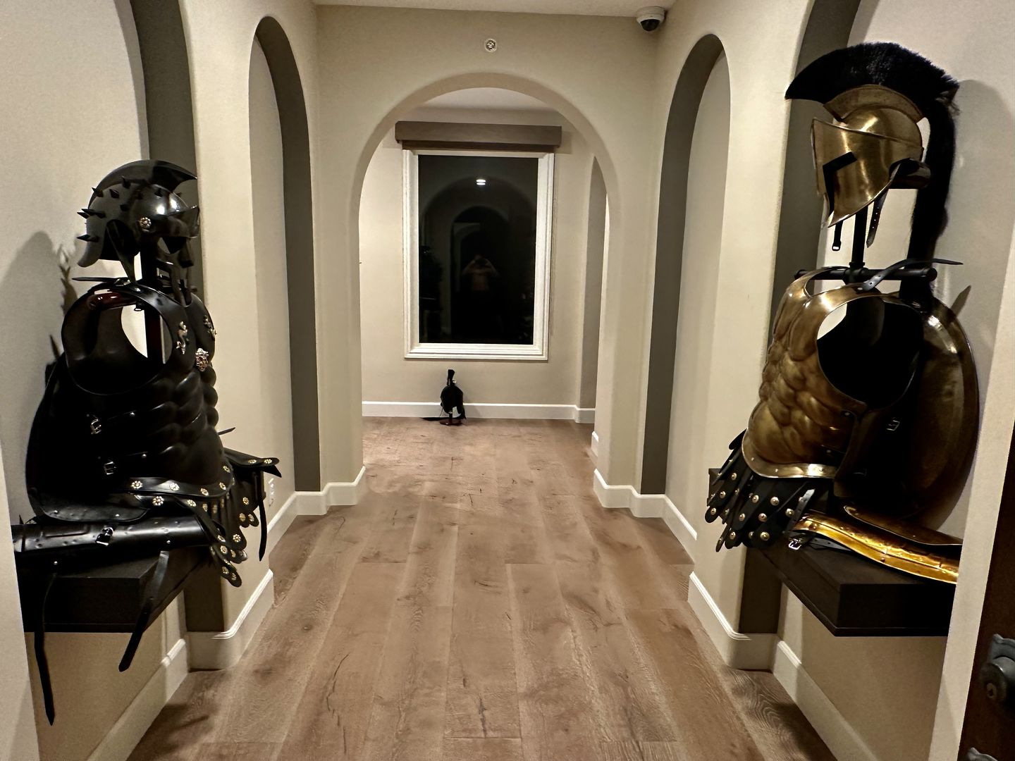 Customer photo review of Roman Gladiator Maximus Helmet - Black