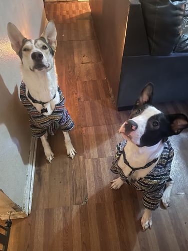 Customer photo review of Playa Poncho - Surprise Color