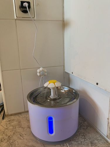 Customer photo review of Flower Fountain Smart Sensor