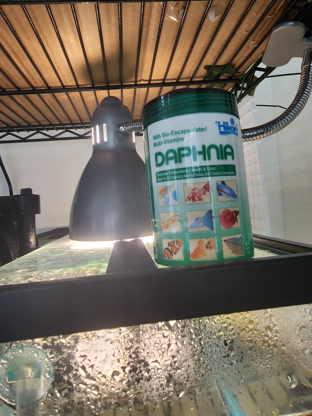 Customer photo review of Hikari Bio-Pure® FD Daphnia