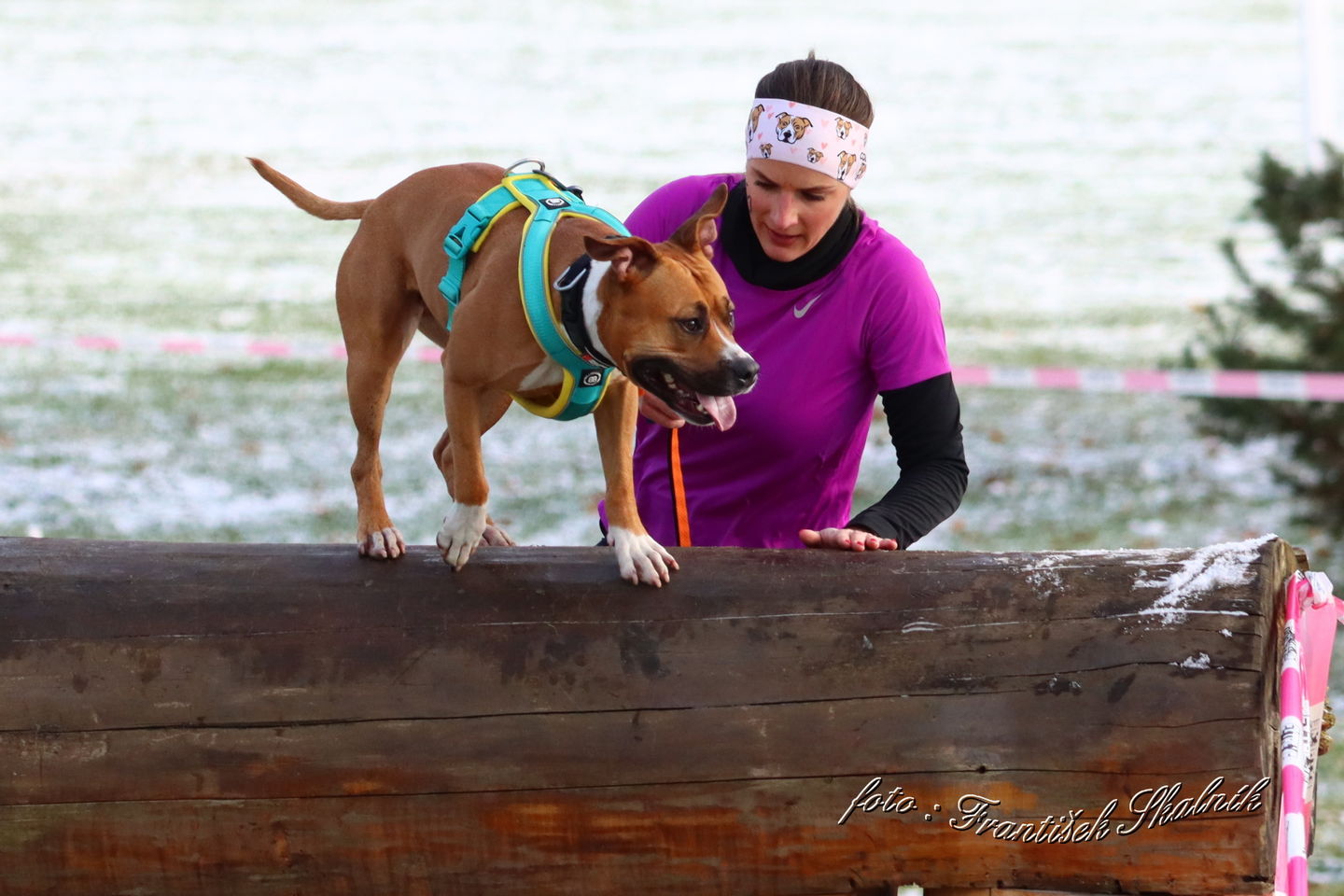 Customer photo review of Slip on Padded Comfort Harness | Non Restrictive & Reflective - Turquoise & Yellow