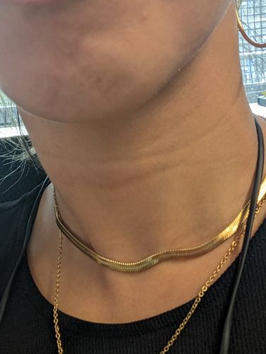 Customer photo review of Aria Chain Necklace