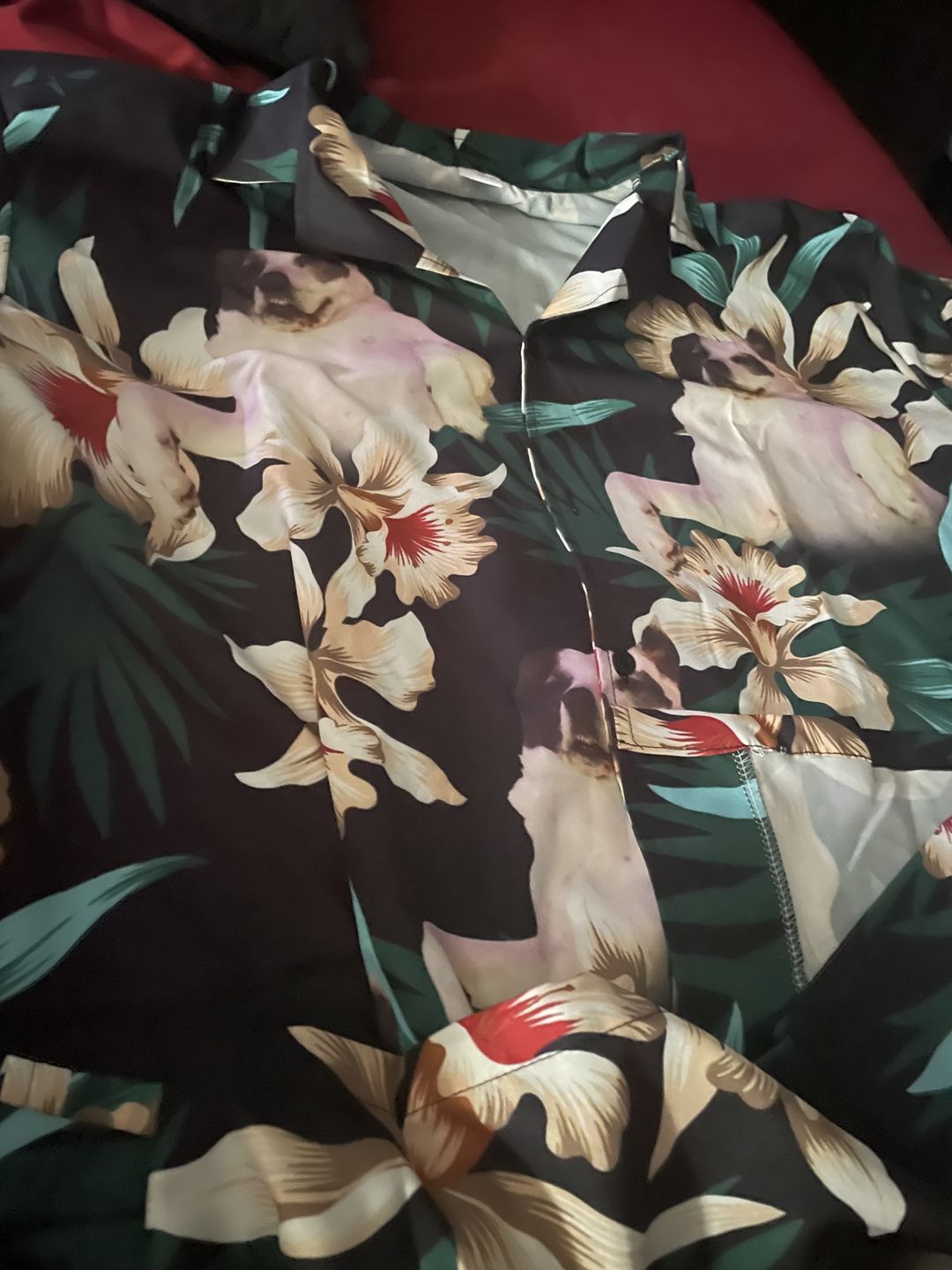 Customer photo review of Custom Leaves & Flowers Pattern Short-Sleeve Hawaiian Shirt (Dark Green Color)
