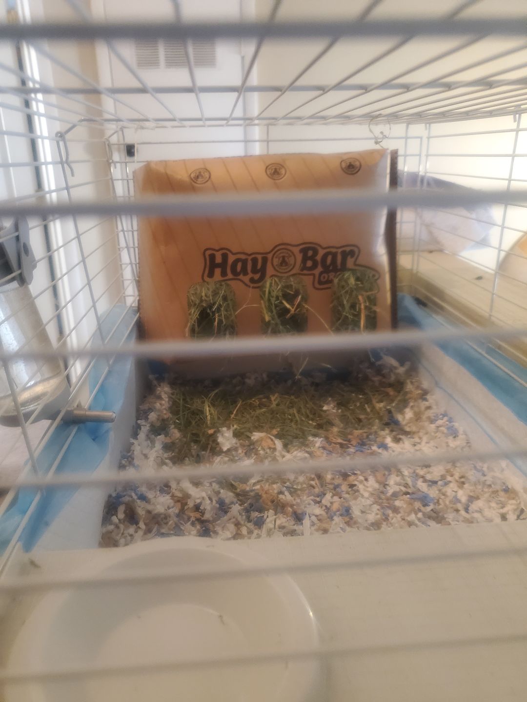Customer photo review of GuineaDad Hay Bar (5 Pack) - Orchard - Micro-Filtered Guinea Pig Hay