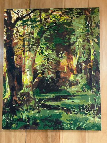 Customer photo review of Forest Scene - Paint by Numbers