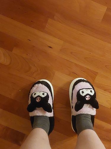 Customer photo review of Sanriocore Warm Fluffy Slippers