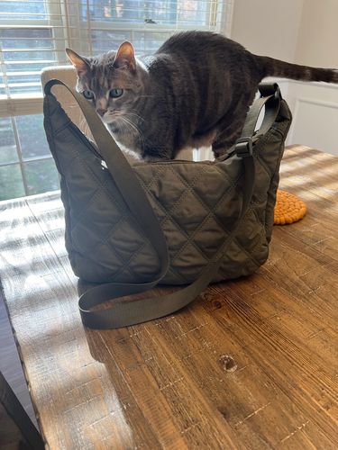Customer photo review of Olives Quilted Puffer Bag