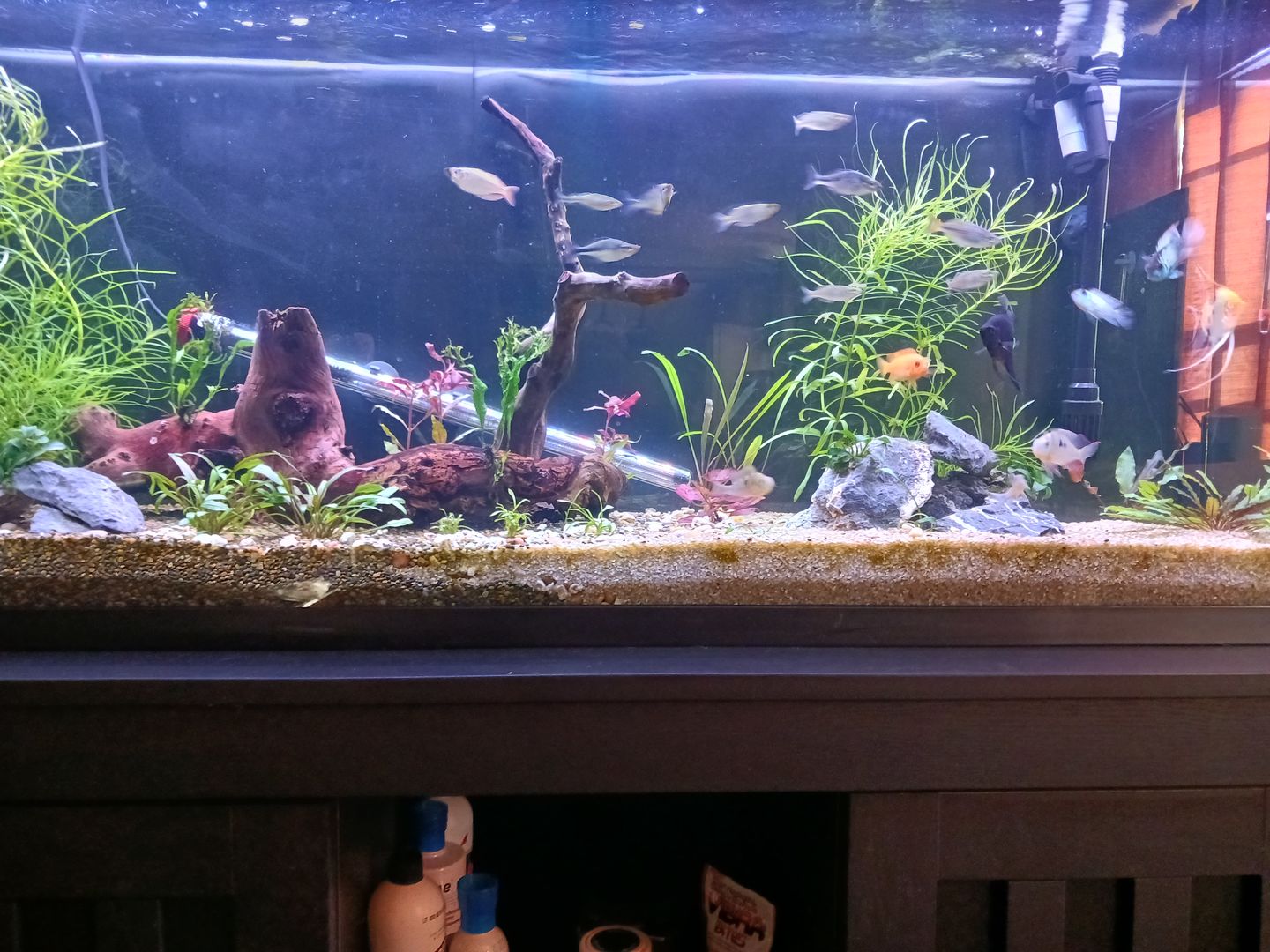 Customer photo review of Fritz COMPLETE Water Conditioner