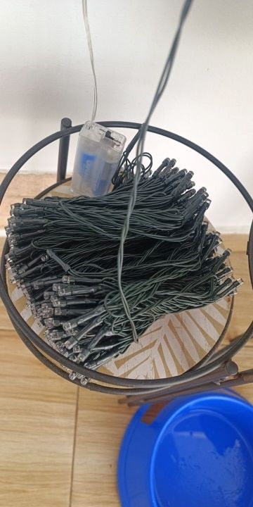 Customer photo review of SolaGarden™ Fairy String Lights