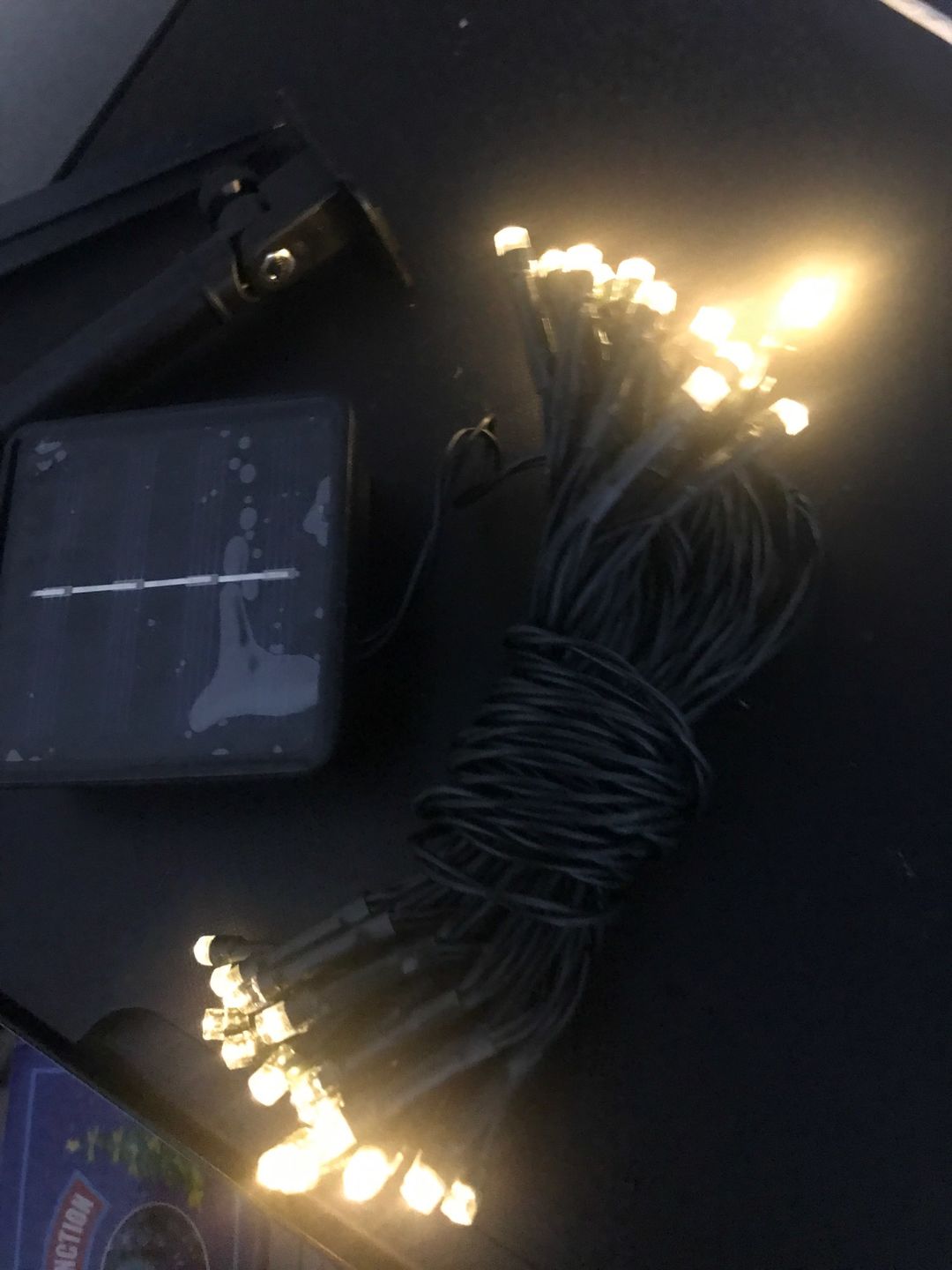 Customer photo review of SolaGarden™ Fairy String Lights