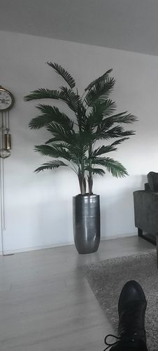 Customer photo review of Kunstpalm 180cm