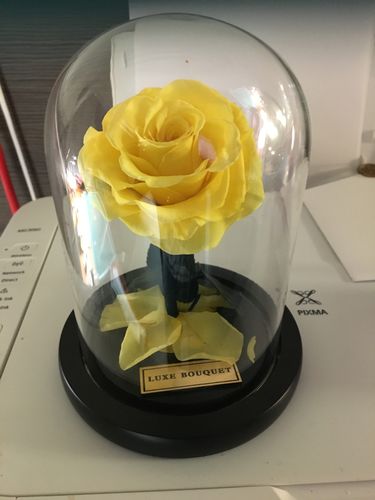 Customer photo review of Mini Everlasting Rose - Yellow