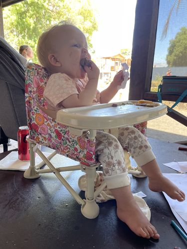 Customer photo review of Paloma baby chair v2