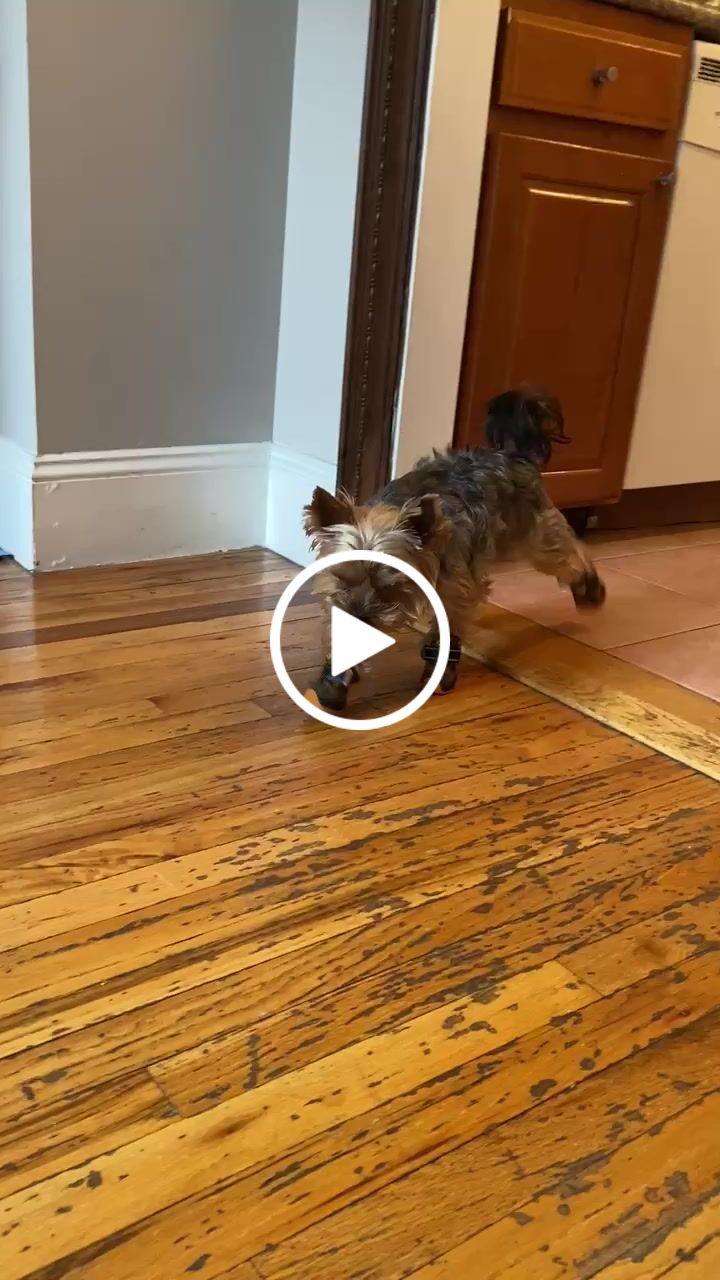 Customer video review of Apollo 1