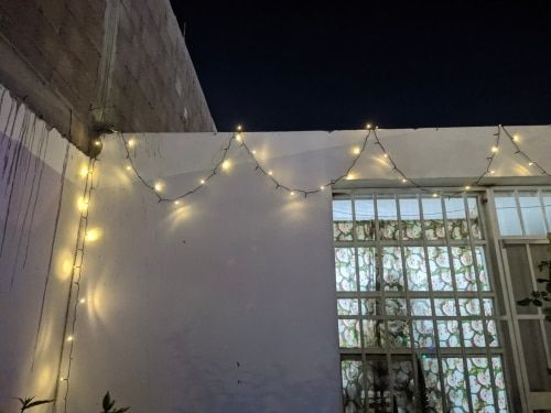 Customer photo review of SolaGarden™ Fairy String Lights